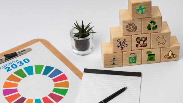 Agenda 2030 e os Objetivos do Desenvolvimento Sustentável